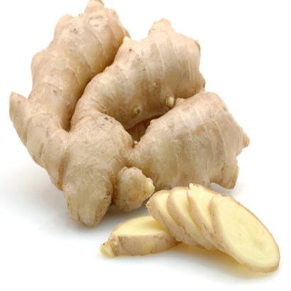 Organic Ginger Oil