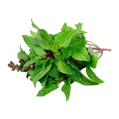 Organic Sweet Basil Oil